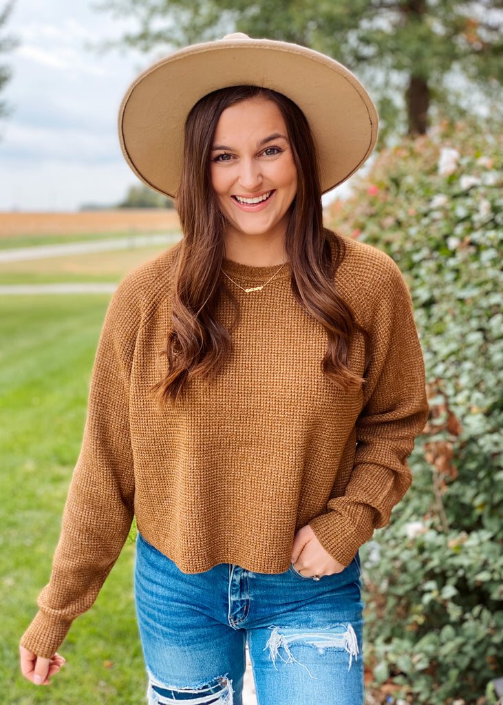 Brown cropped sweater