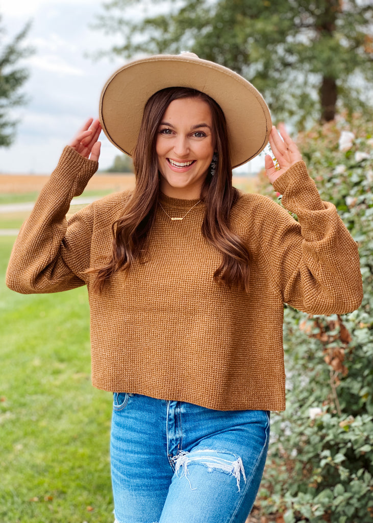 Brown cropped sweater