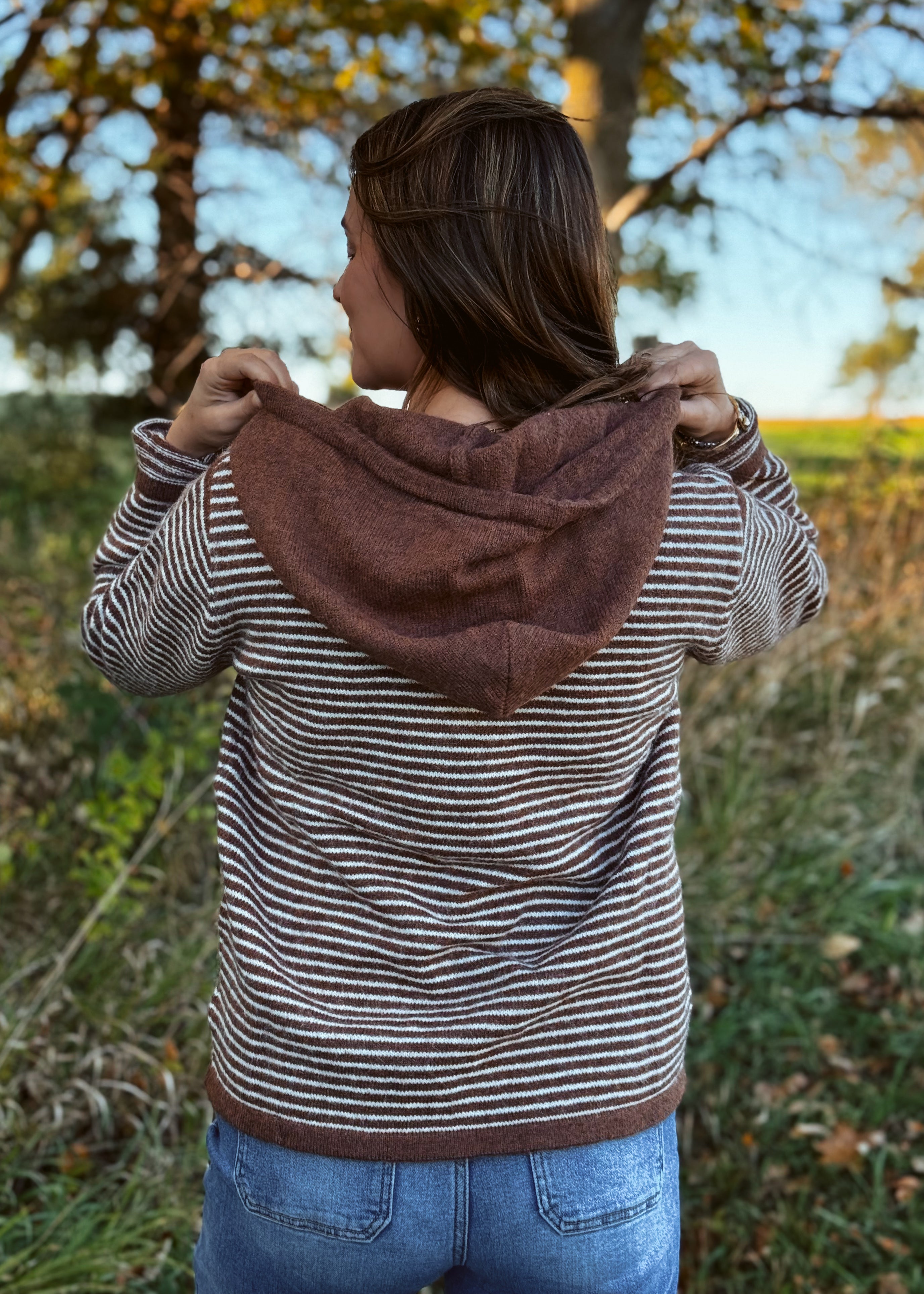 Happiness Trails Boutique - Mocha and cream striped hooded sweater