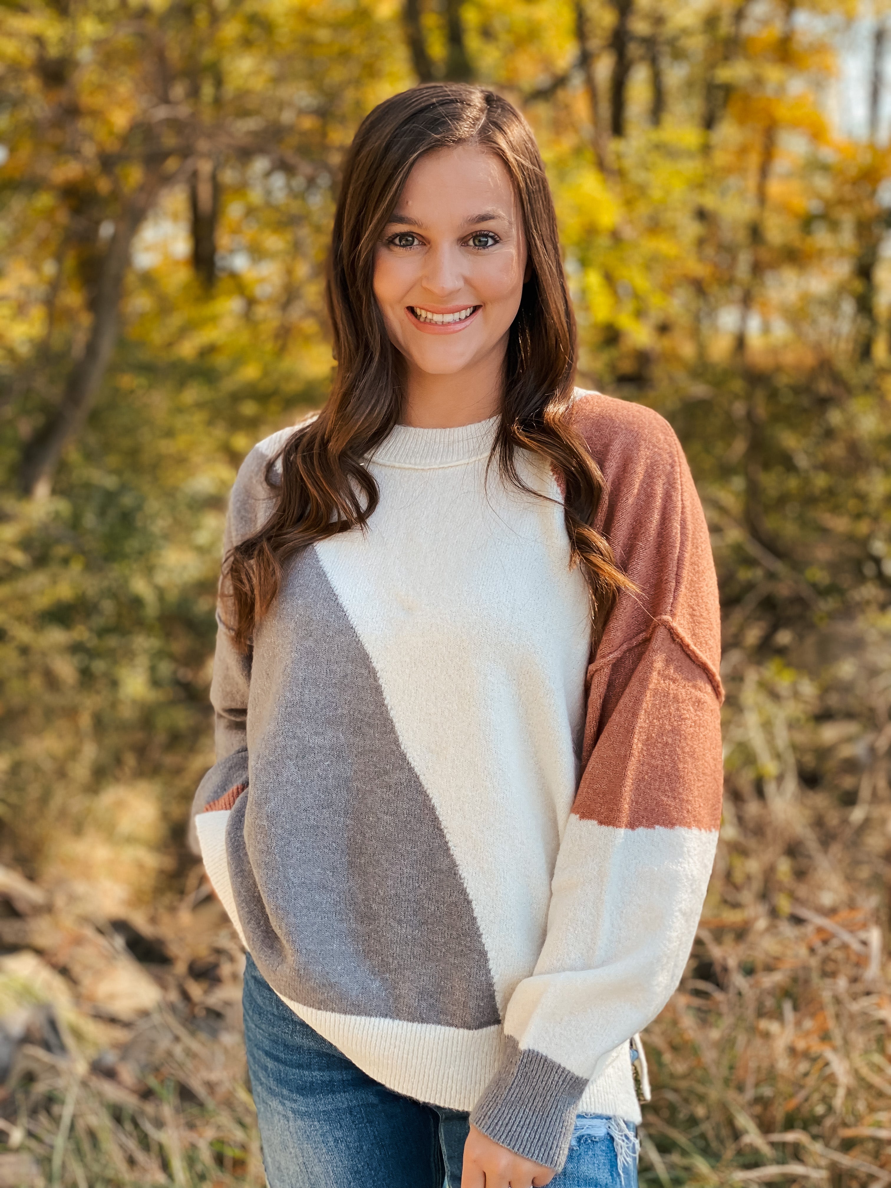 Sienna colorblock plus size sweater